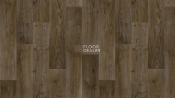 Линолеум Tarkett Discovery RIGARD 3 фото 1 | FLOORDEALER